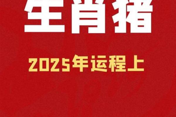 属猪的2025年几岁_属猪的2025年运势怎么样 属猪的2025年几岁_属猪的2025年运势怎么样