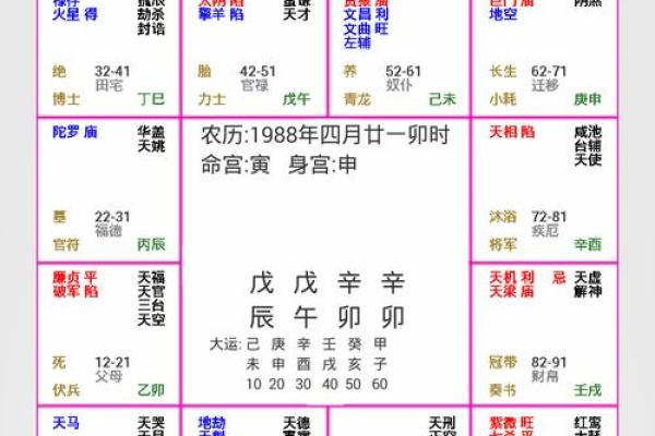 2025年2月24日卯时男命紫微斗数全解盘