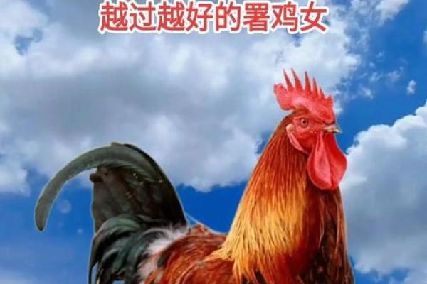 69年鸡女2025年运势和每月运程_1993年属鸡女2025年运势 69年鸡女2025年运势和每月运程_1993年属鸡女2025年运势