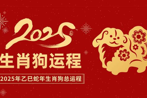 属狗的今年几岁2025_属狗的今年几岁了 属狗的今年几岁2025_属狗的今年几岁了