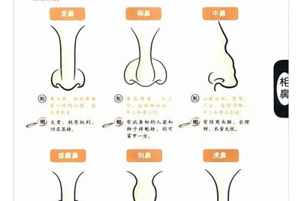 大耗在财帛宫财运波动的关键因素解析