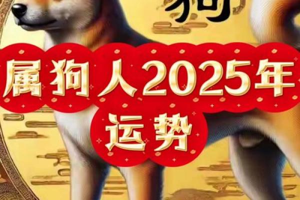 2025属狗的运势和财运怎么样 2025年属狗人运势与财运全解析 2025属狗的运势和财运怎么样 2025年属狗人运势与财运全解析
