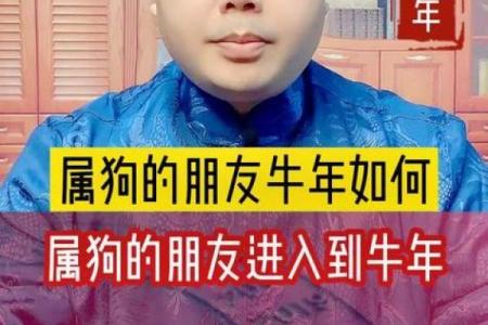 1982属狗女2025年运势完整版 1982属狗43岁桃花劫