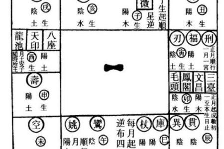 2025年3月26日寅时男命紫微斗数全解盘