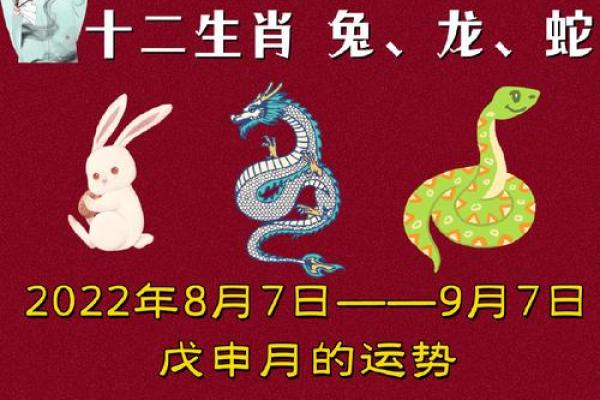 虎头蛇尾打一生肖(虎头蛇尾打一生肖正确答案)