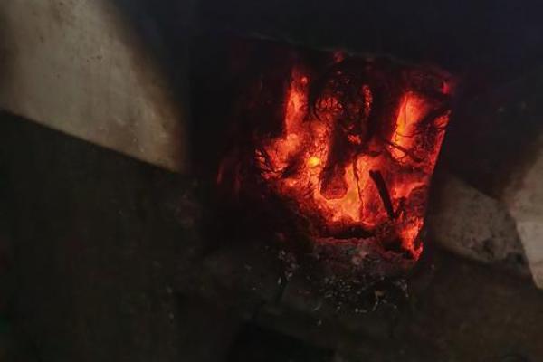 炉火纯青代表什么生肖(炉火纯青表示什么动物)