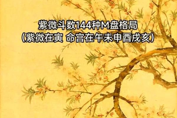 2025年3月22日寅时女命紫微斗数全解盘 2025年3月22日寅时女命紫微斗数全解盘