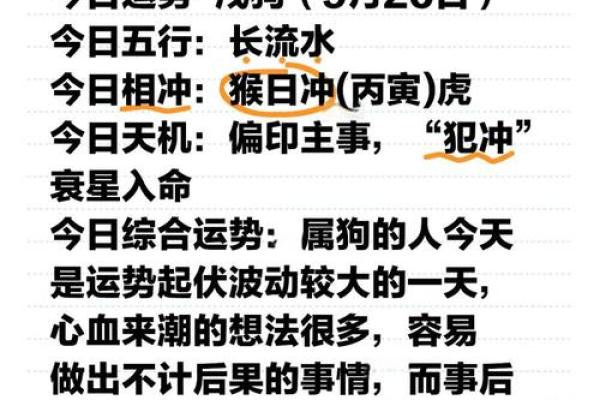 1970属狗2025年运势及运程详解 1970年属狗2025年运势详解运程预测与注意事项