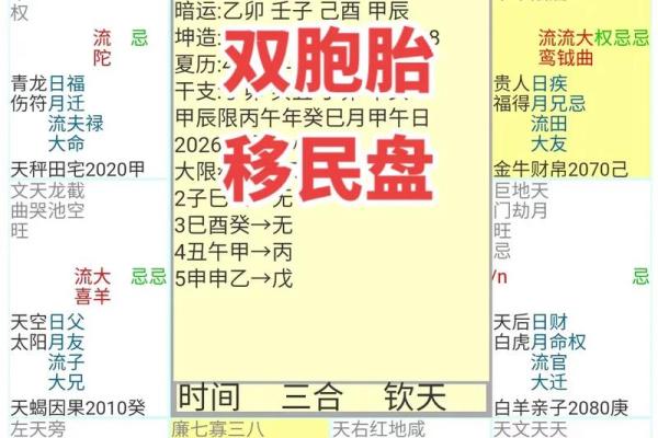 2025年3月21日寅时男命紫微斗数全解盘