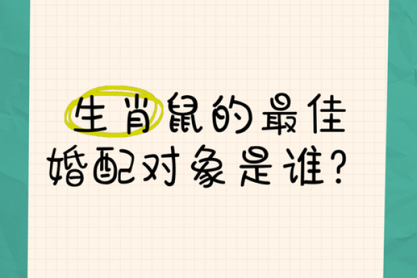 属鼠跟属羊婚配好不好_属鼠和属羊的婚配好不好