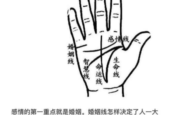 夫妻宫有天魁是小老婆_夫妻宫有天魁是什么意思 夫妻宫有天魁是小老婆_夫妻宫有天魁是什么意思