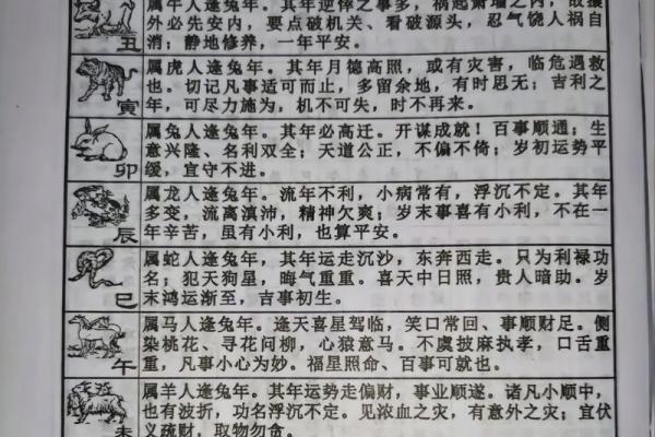 1954年属马今年多大2023年年龄计算与运势解析