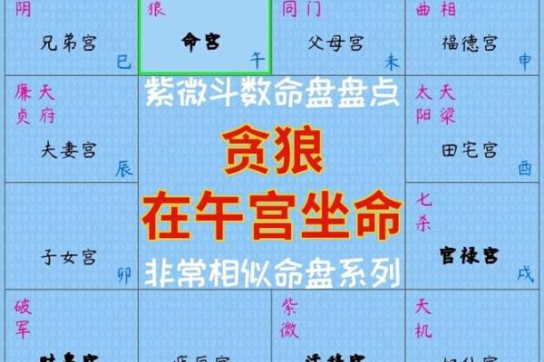 2025年3月10日丑时男命紫微斗数全解盘 2025年3月10日丑时男命紫微斗数全解盘