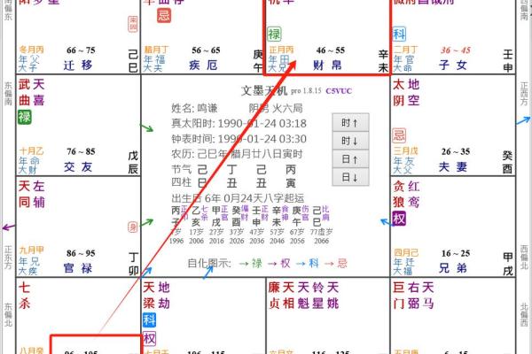 2025年3月9日子时男命紫微斗数全解盘 2025年3月9日子时男命紫微斗数全解盘