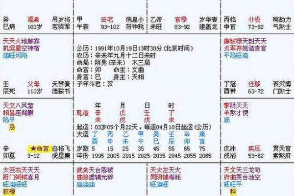 2025年3月24日子时男命紫微斗数全解盘 2025年3月24日子时男命紫微斗数全解盘