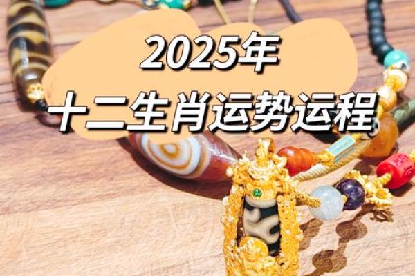 02的马2025的运势_02年属马人2025年全年运势详解关键月份运程指引 02的马2025的运势_02年属马人2025年全年运势详解关键月份运程指引