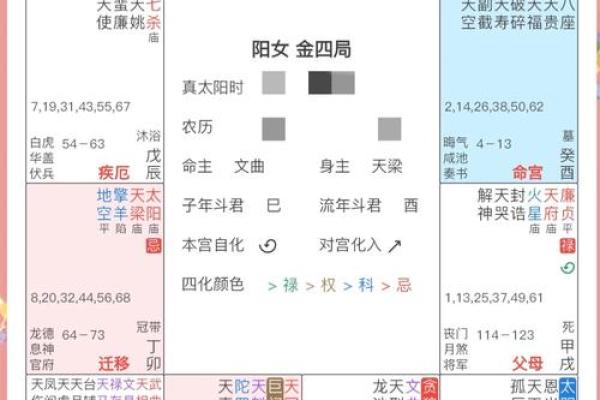 2025年3月16日丑时女命紫微斗数全解盘