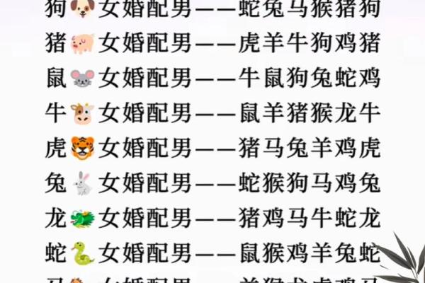 属兔婚配最佳属相揭秘最合适的生肖配对