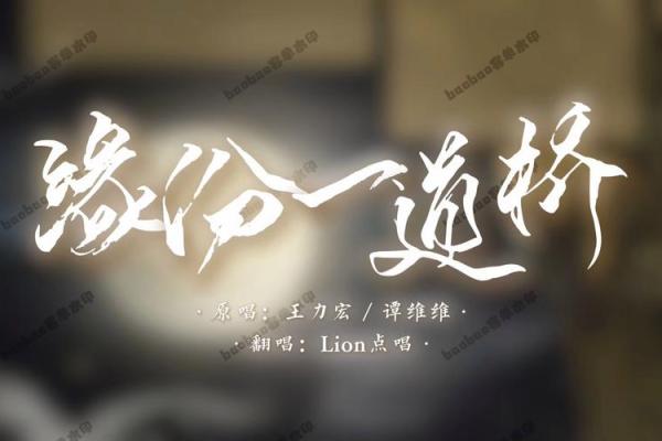 缘分一道桥_缘分一道桥跨越时空的情感纽带