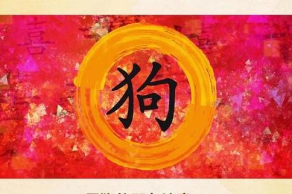 属狗的2025年多大年龄_2025年属狗的人多大年龄详细解析 属狗的2025年多大年龄_2025年属狗的人多大年龄详细解析