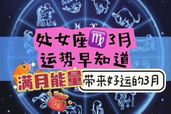 处女座2025年2月运势 2025年2月处女座运势事业爱情双丰收机遇与挑战并存