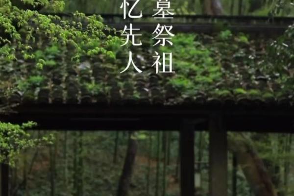 今年4月5号清明节可以扫墓吗