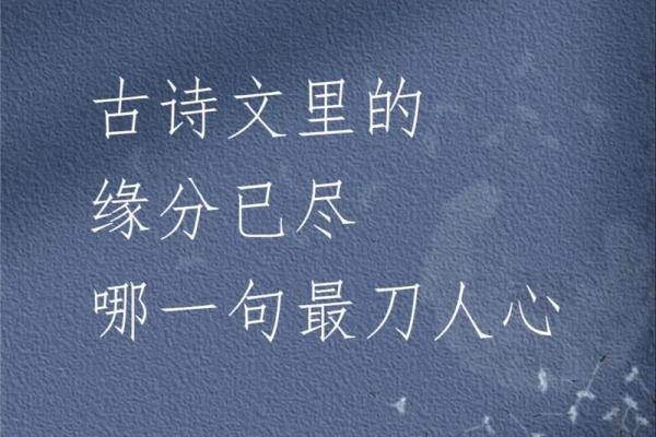 有缘分的诗句 说有缘分的诗