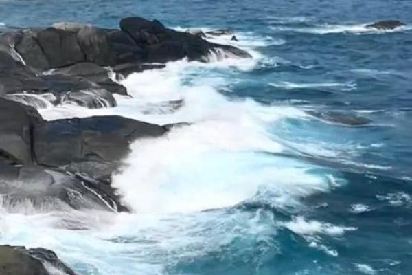 大海水下有特马猜生肖(大海水下是什么意思) 大海水下有特马猜生肖(大海水下是什么意思)
