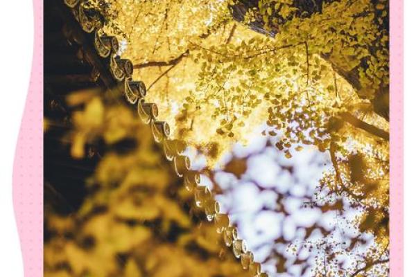 命带天喜姻缘天定 命带天喜神 命带天喜姻缘天定 命带天喜神