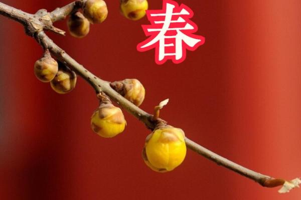 2021年立春是几点