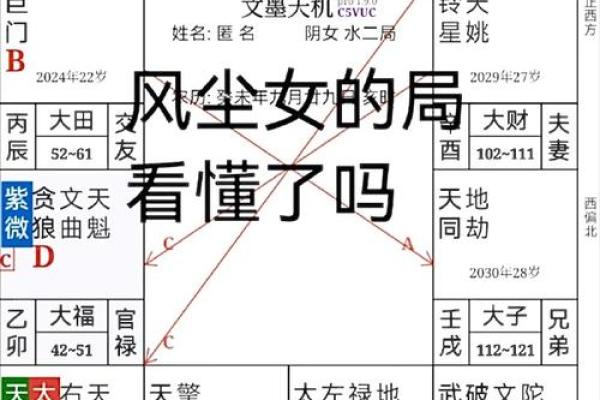 夫妻紫薇_夫妻紫薇贪狼是什么意思