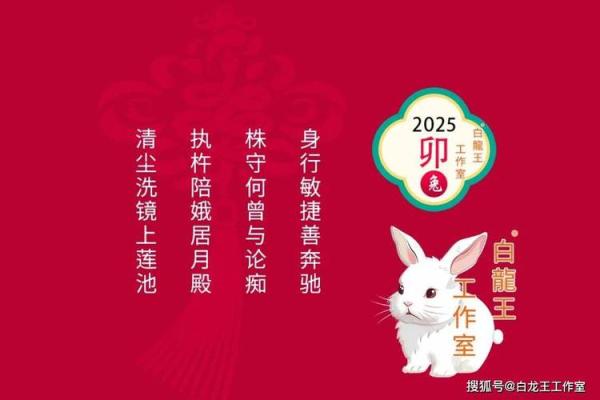 2025属兔全年运势及每月运势_2025属兔全年运势详解及每月运势预测