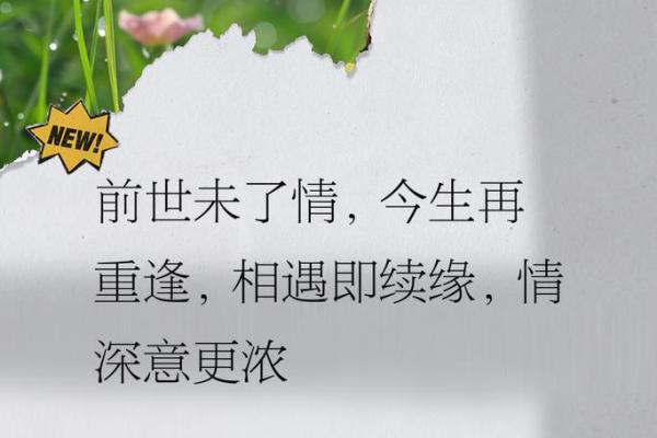 遇见即是缘分_遇见即是缘分的情话