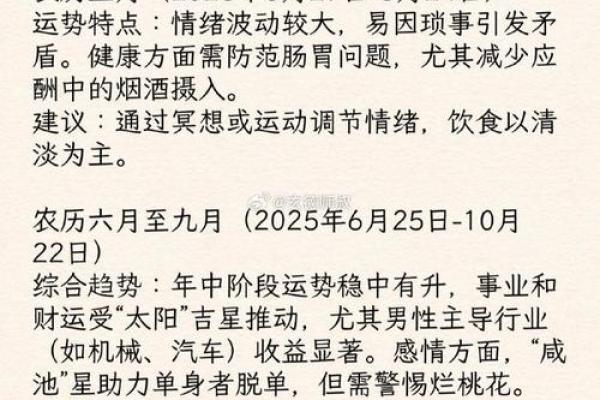 1966年属马人2025年运势详解财运健康事业全解析 1966年属马人2025年运势详解财运健康事业全解析