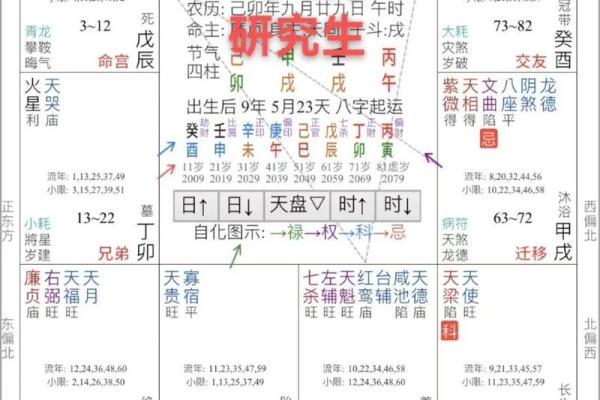 2025年3月13日子时男命紫微斗数全解盘 2025年3月13日子时男命紫微斗数全解盘