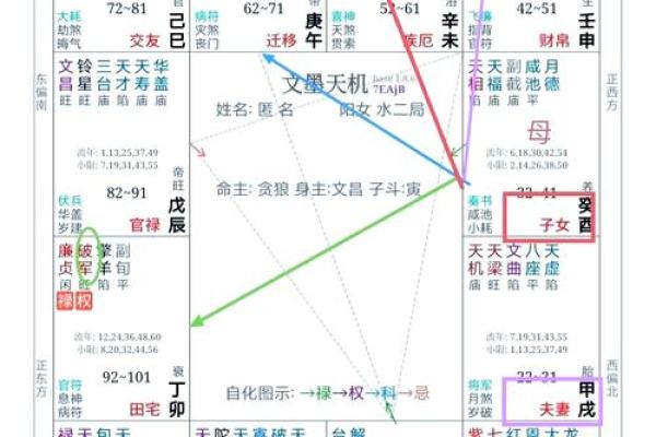 2025年2月17日丑时女命紫微斗数全解盘