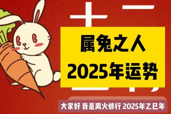 属兔2021年4月最佳吉日期(属兔4月运势及运程)