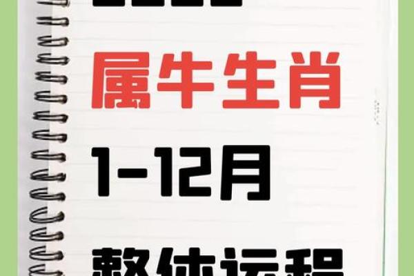 2025年4月10日处女座今日运势luka大叔