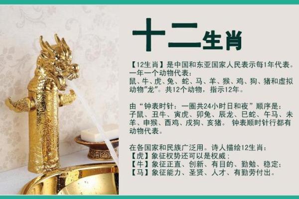 一比高下是什么生肖(一比高低指什么生肖) 一比高下是什么生肖(一比高低指什么生肖)