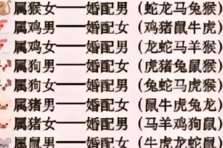 父母属鼠孩子属马 父母属鼠孩子属马有没有不合的