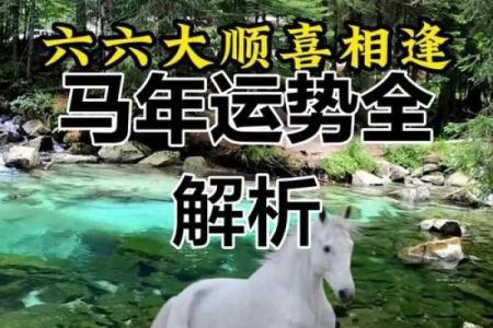 90年属马人今日运势_1990年属马人今日运势