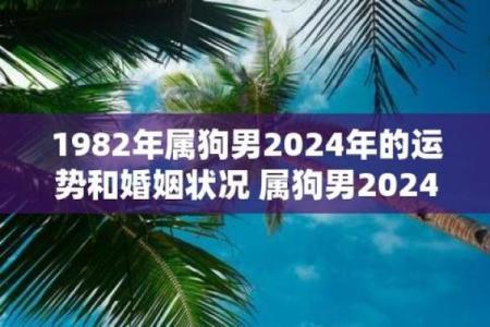 1982年属狗2024年运势详解运程预测与注意事项
