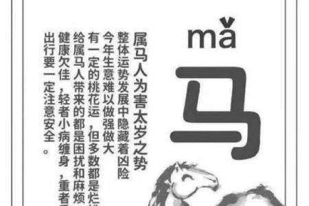 1978年属马女2025年运势运程详解全年运程预测与开运指南