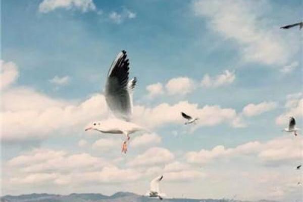 2021幸运微信头像