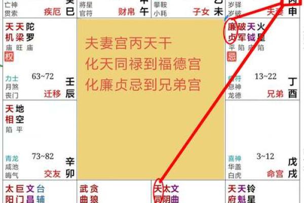 2025年3月3日寅时男命紫微斗数全解盘 2025年3月3日寅时男命紫微斗数全解盘