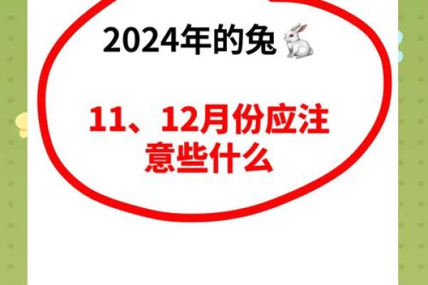 属兔人2024年全年运势运程 属兔人2024年全年运势运程详解 属兔人2024年全年运势运程 属兔人2024年全年运势运程详解