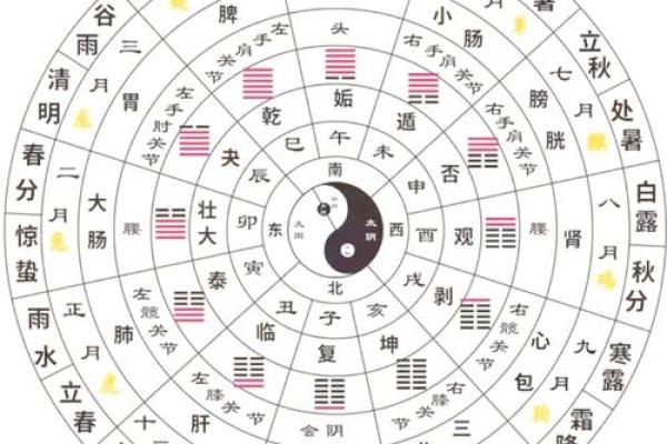 二黑巨门星五行属什么_二黑巨门星五行属性解析揭秘其神秘力量