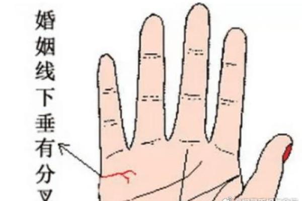 必嫁二婚夫的女命 必嫁二婚夫的女命特征解析与命运揭秘 必嫁二婚夫的女命 必嫁二婚夫的女命特征解析与命运揭秘