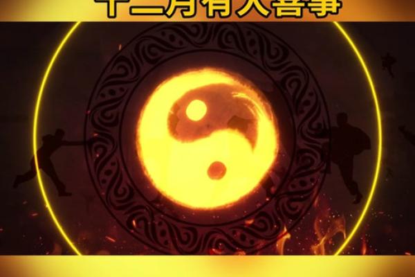 属龙今年多大2025 属龙的在2025年多大了 属龙今年多大2025 属龙的在2025年多大了