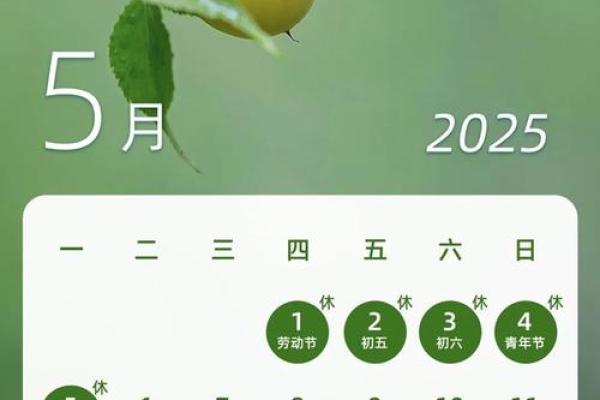 2025年5月20号什么意思